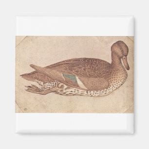 Aimant Canard - Pisanello