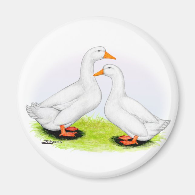 Aimant Canard : White Pekins (Devant)