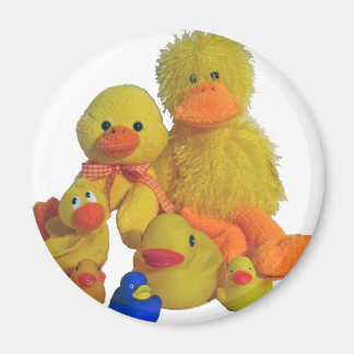 Aimant canards buncha