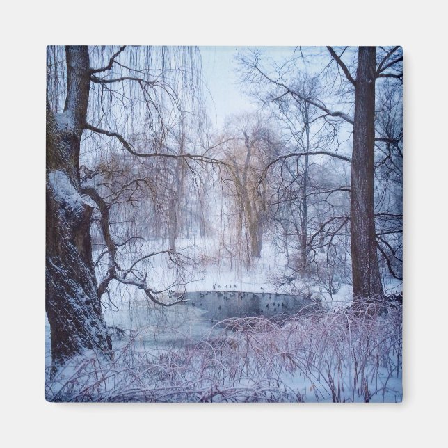 Aimant Canards dans un étang gelé dans Central Park à New (Devant)