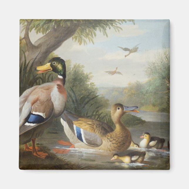 Aimant Canards dans un paysage fluvial (Devant)