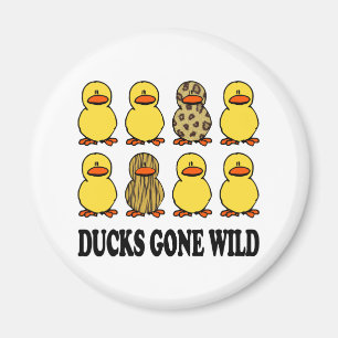 Aimant Canards Devenus Sauvages