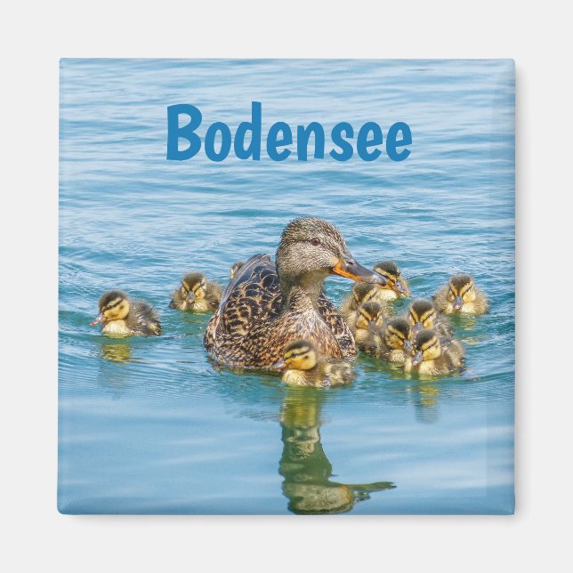 Aimant Canards du Bodensee avec canetons (Devant)