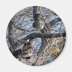 Aimant Canards en bois dans un arbre