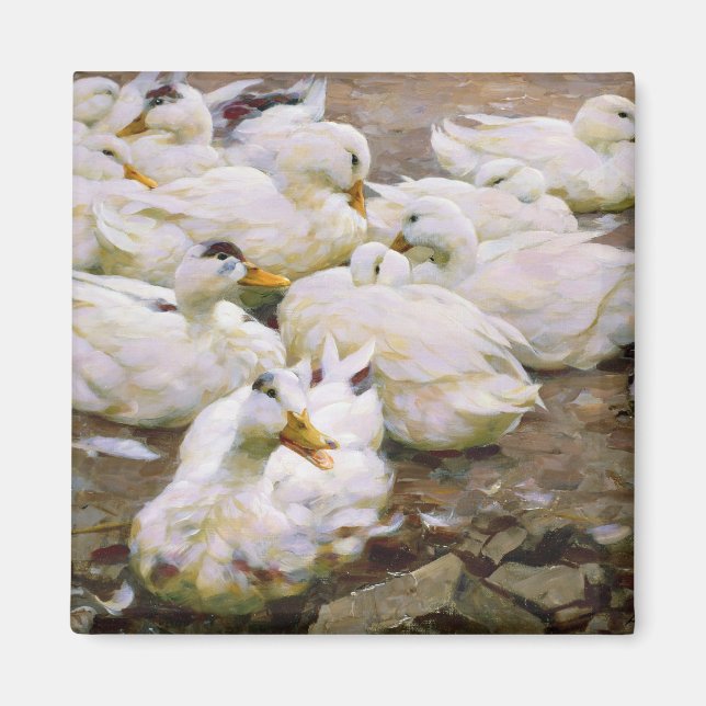 Aimant Canards sur un étang (Devant)