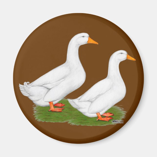 Aimant Canards : White Pekins (Devant)