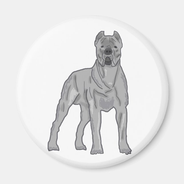 Aimant Cane Corso (Devant)