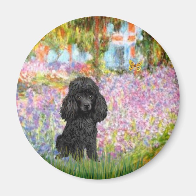 Aimant Caniche (noir 1) - Jardin (Devant)