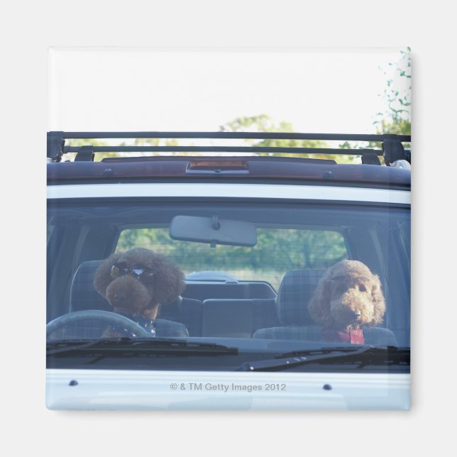 Aimant caniche standard 4 (Devant)