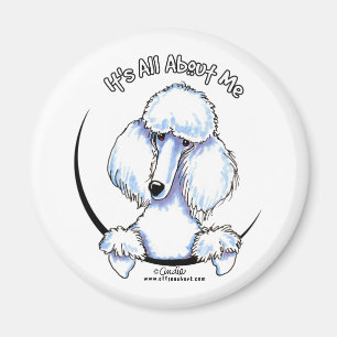 Aimant Caniche standard blanc IAAM