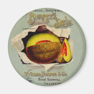 Aimant Cantaloupe Semences Publicité Art Antique