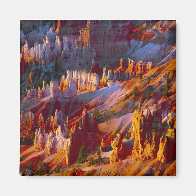 Aimant Canyon Bryce, Utah, États-Unis 2 (Devant)
