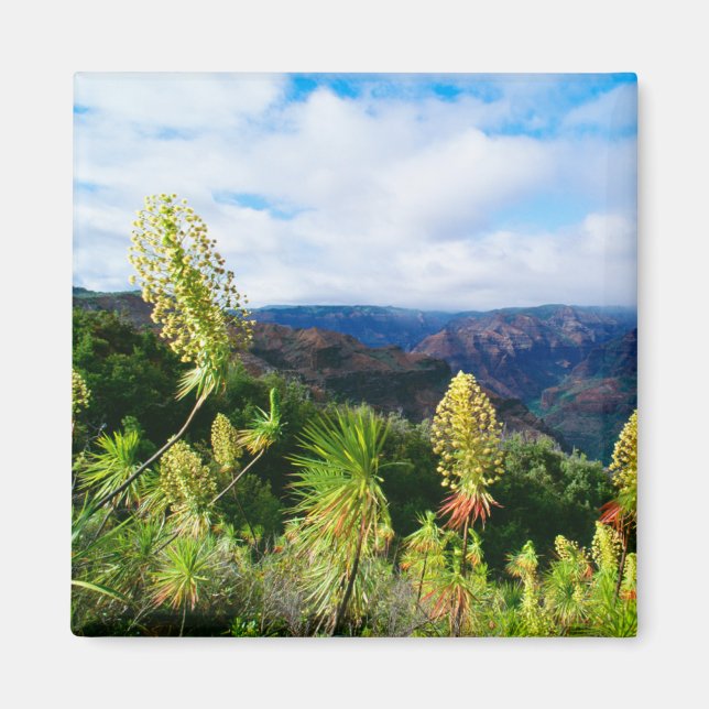 Aimant Canyon de Waimea | Kauai, Hawaï (Devant)
