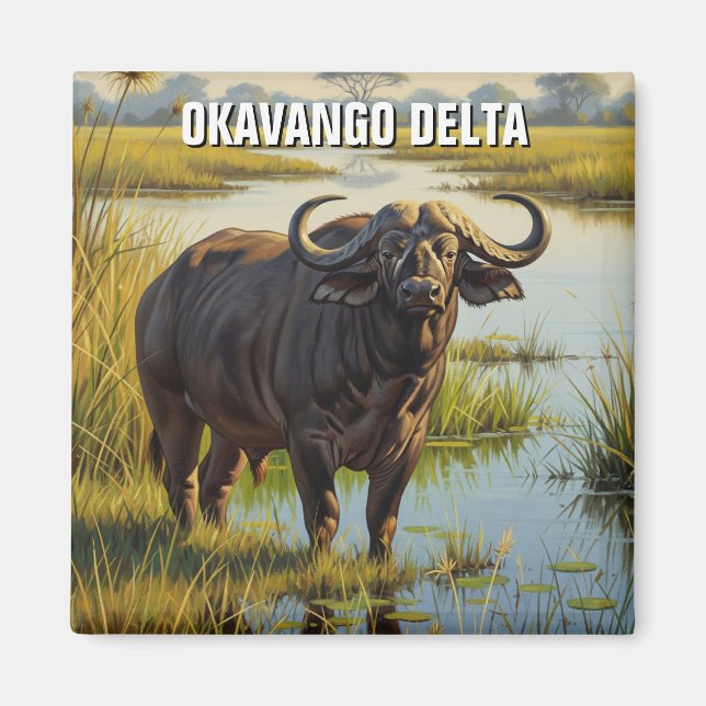 Aimant Cape Buffalo dans le delta de l'Okavango au Botswa (Devant)