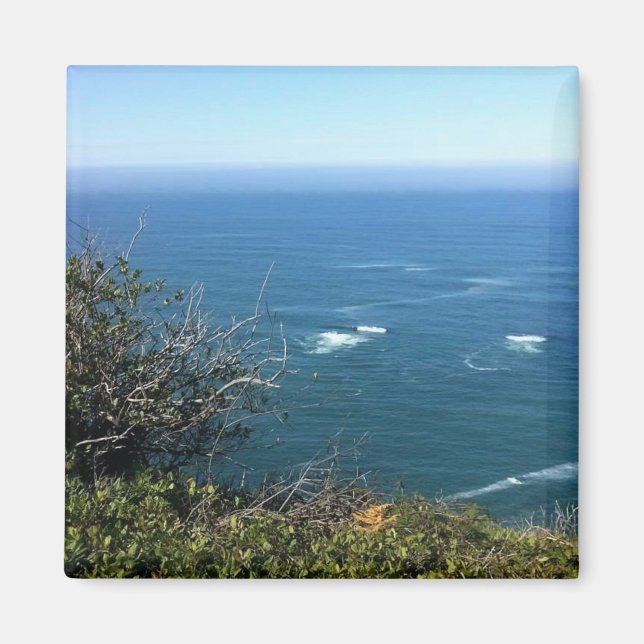 Aimant Cape Foulweather, Oregon (Devant)