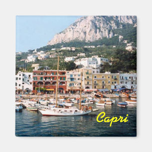 Aimant Capri