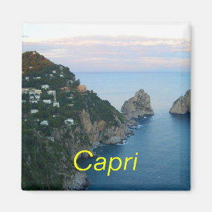 Aimant Capri