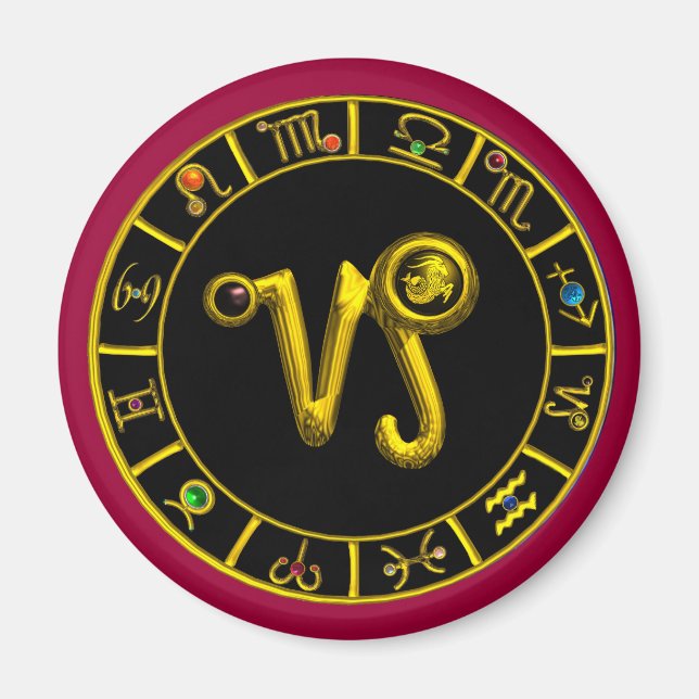 AIMANT CAPRICORN (Devant)