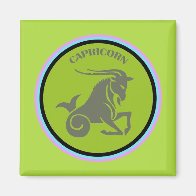 Aimant Capricorne (Devant)