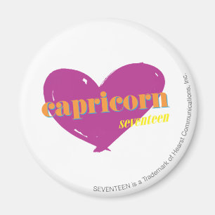 Aimant Capricorne 2