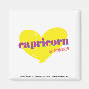 Aimant Capricorne 3
