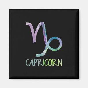 Aimant Capricorne Symbole Zodiaque Astrologie Chèvre de m