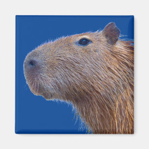 Aimant Capybara