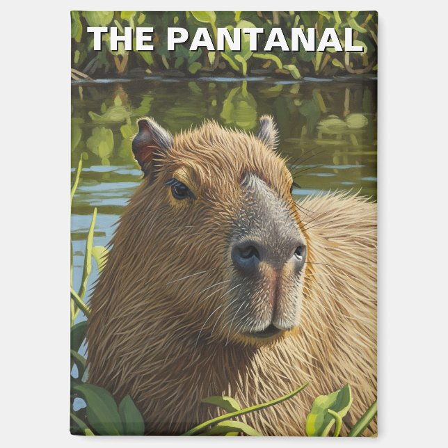 Aimant Capybara in The Pantanal (Recto)