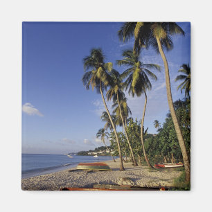 Aimant CARAÏBES, Grenade, Saint-Georges, Bateaux à palm