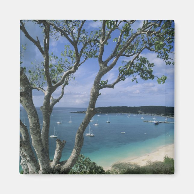 Aimant Caraïbes, île d'Anguilla, baie de Road Bay Harbour (Devant)