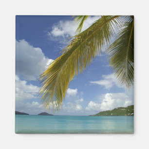 Aimant Caraïbes, îles Vierges américaines, St. Thomas,