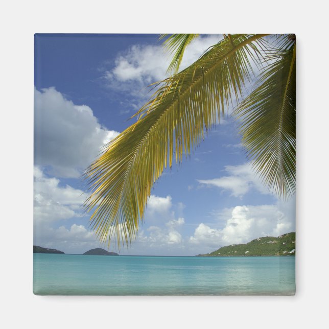 Aimant Caraïbes, Îles Vierges des États-Unis, St.Thomas, (Devant)