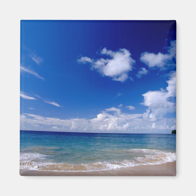 Aimant Caraïbes, Petites Antilles, Indes occidentales, (Devant)