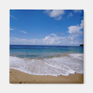 Aimant Caraïbes, Petites Antilles, Indes occidentales, 4