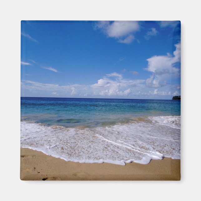 Aimant Caraïbes, Petites Antilles, Indes occidentales, 4 (Devant)