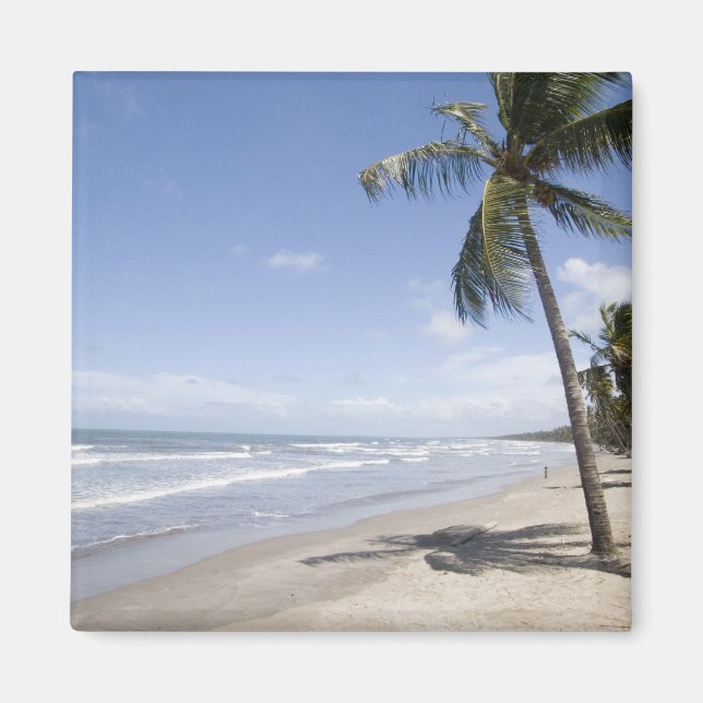 Aimant Caraïbes - Trinité - Plage de Manzanilla sur 2 (Devant)