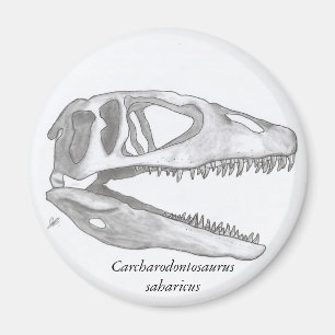 Aimant Carcharodontosaurus saharicus