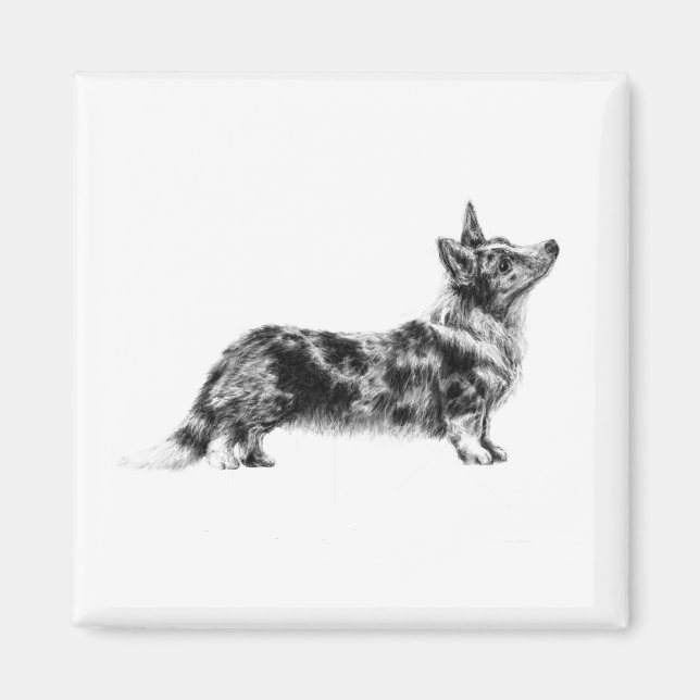 Aimant Cardigan Corgi gallois (Devant)