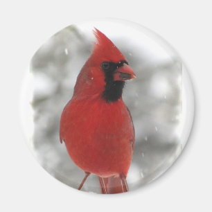 Aimant Cardinal