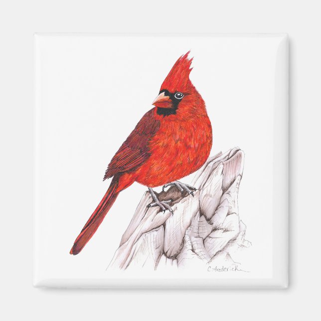 Aimant Cardinal (Devant)