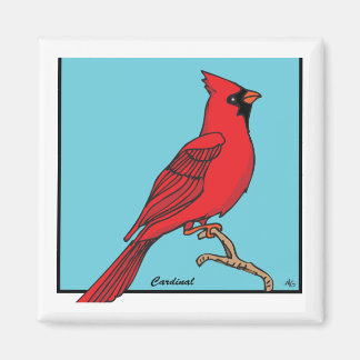 AIMANT CARDINAL