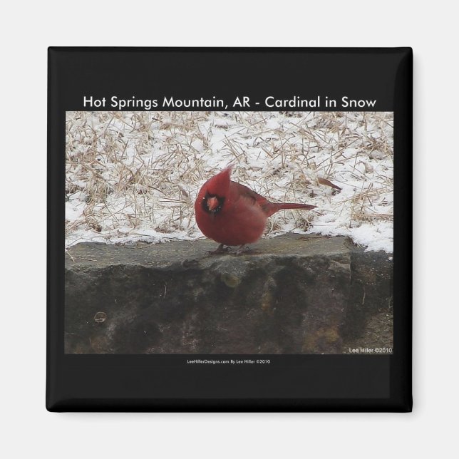 Aimant Cardinal Hot Springs Parc Nat Mt AR Cadeaux Vêteme (Devant)