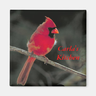 Aimant cardinal rouge