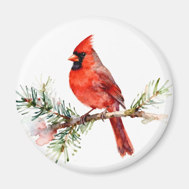 Aimant Cardinal sur une branche de sapin (Devant)