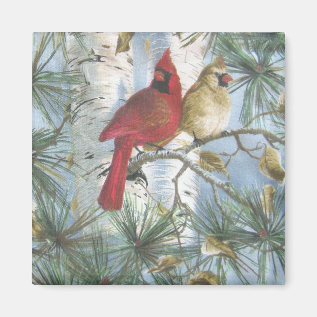 AIMANT CARDINALS-MAGNET (Devant)