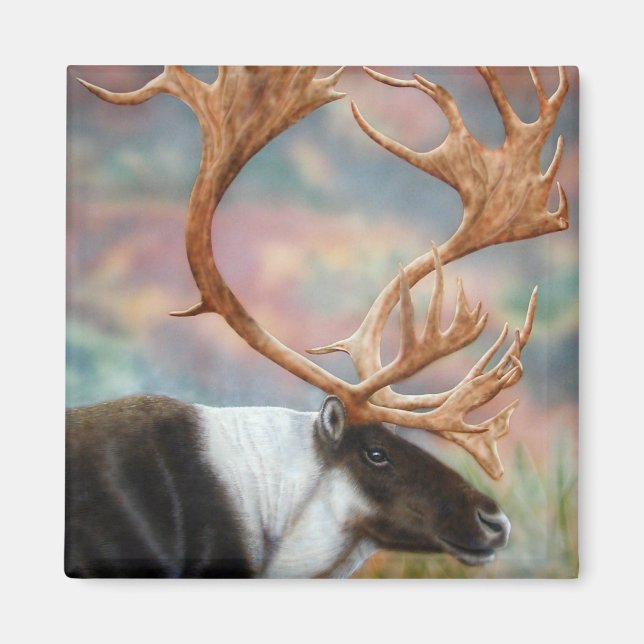 Aimant Caribou (Devant)