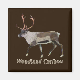 Aimant Caribou des bois