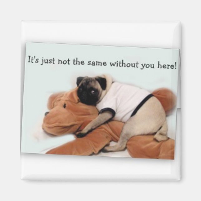 aimant carlin (Devant)