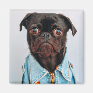 Aimant Carlin en Denim Jackey Cute Adorable Chien Chien C