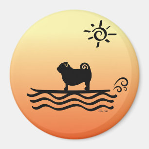 Aimant Carlin Surf magnétique